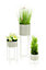 simpa 3PC Cream Contemporary Flower Plant Pot Holders & Hairpin Stands