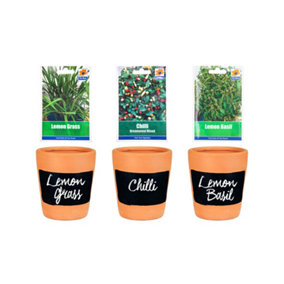 simpa 3PC Terracotta Chalkboard Herb Planters with Lemon Grass, Chilli and Lemon Basil Seeds.