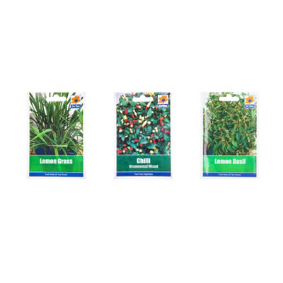 simpa 3PC Terracotta Chalkboard Herb Planters with Lemon Grass, Chilli and Lemon Basil Seeds.