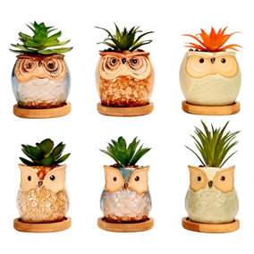 simpa 6PC Assorted Shaped Owl Ceramic Plant Pots with Bamboo Base
