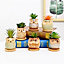 simpa 6PC Assorted Shaped Owl Ceramic Plant Pots with Bamboo Base