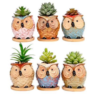 simpa 6PC Big Eye Owl Ceramic Plant Pots with Bamboo Base