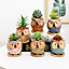 simpa 6PC Big Eye Owl Ceramic Plant Pots with Bamboo Base