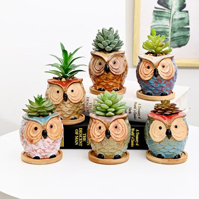 simpa 6PC Big Eye Owl Ceramic Plant Pots with Bamboo Base