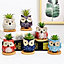 simpa 6PC Cartoon Owl Ceramic Plant Pots with Bamboo Base