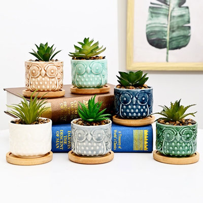 simpa 6PC Colour Glazed Owl Ceramic Plant Pots with Bamboo Base