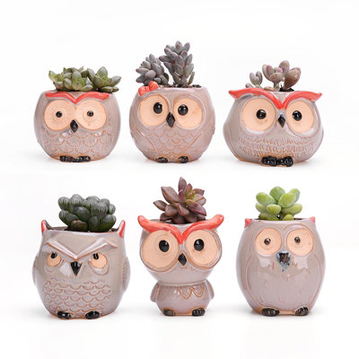 simpa 6PC Comic Owl Ceramic Plant Pots with Bamboo Base