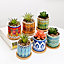 simpa 6PC Datura Pattern Ceramic Plant Pots with Bamboo Base