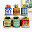 simpa 6PC Datura Pattern Ceramic Plant Pots with Bamboo Base