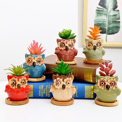 simpa 6PC Flower Eye Owl Ceramic Plant Pots with Bamboo Base