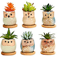simpa 6PC Funky Owl Themed Ceramic Plant Pots with Bamboo Base