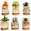simpa 6PC Funky Owl Themed Ceramic Plant Pots with Bamboo Base