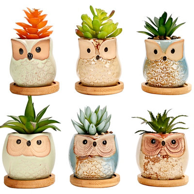 simpa 6PC Funky Owl Themed Ceramic Plant Pots with Bamboo Base