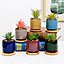 simpa 6PC Ice Crack Ceramic Plant Pots with Bamboo Base