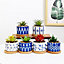 simpa 6PC Japanese Pattern Ceramic Plant Pots with Bamboo Base