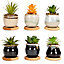 simpa 6PC Mixed Shape Pattern Ceramic Plant Pots with Bamboo Base