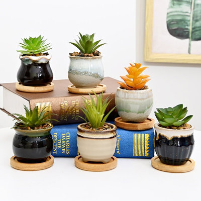 simpa 6PC Mixed Shape Pattern Ceramic Plant Pots with Bamboo Base - 3