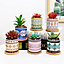 simpa 6PC Natural Pattern Ceramic Plant Pots with Bamboo Base