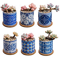 simpa 6PC Oriental Pattern Ceramic Plant Pots  with Bamboo Base