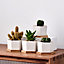 simpa 6PC White Hexagonal Ceramic Plant Pots with Bamboo Base