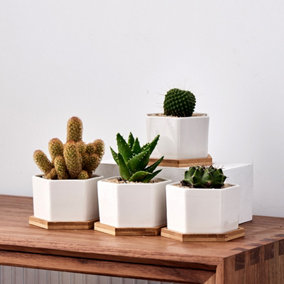 simpa 6PC White Hexagonal Ceramic Plant Pots with Bamboo Base