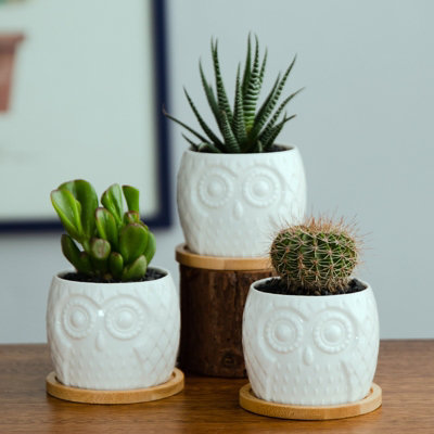 simpa 6PC White Owl Ceramic Plant Pots
