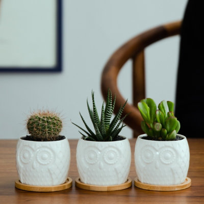 simpa 6PC White Owl Ceramic Plant Pots