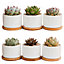 simpa 6PC White Round Ceramic Plant Pots & Bamboo Base