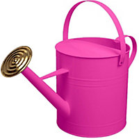 simpa 9 Litre / 2 Gallon Pink Galvanised Watering Can with Brass Rose.