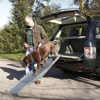 Diy dog ramp for hot sale car