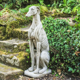 Single Large Sitting Greyhound Statue
