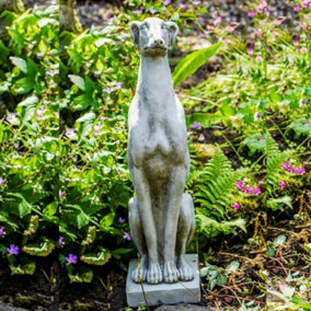 Single Whippet Dog Garden Statue