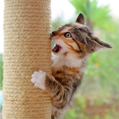 Sisal Rope for Cat Scratcher Cat Tree Repairing - 50 m / 164 ft of 8 mm  Natural