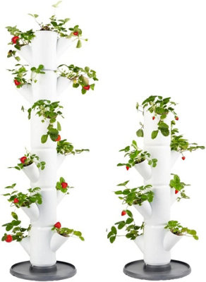 Sissi Strawberry Starter Set - Planter/Pot/Plant Tower/Raised Bed for Strawberries - Plant Strawberries and Herbs