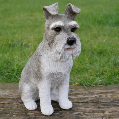 Miniature schnauzer best sale trading post