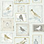 SK Filson Aqua Framed Birds Wallpaper