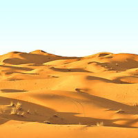 SK Filson Multicolour Desert Landscape Wallpaper