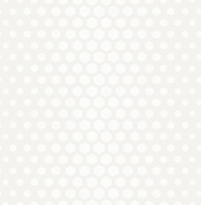 SK Filson White Hexagon Ombre Wallpaper