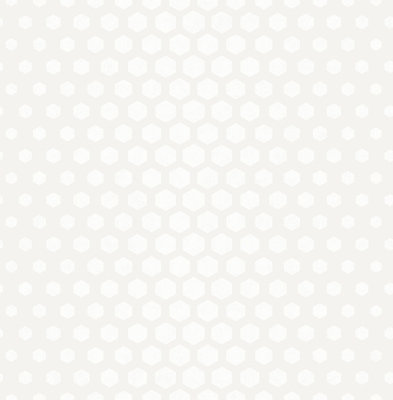 SK Filson White Hexagon Ombre Wallpaper