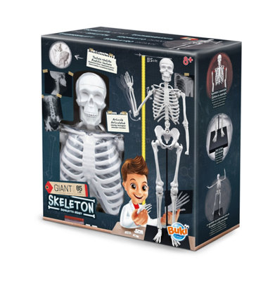 Skeleton 85cm Assembly Education Kit