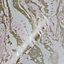 Skinny Dip Pink & Gold Marble Metallic effect Embossed Wallpaper