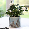 Sky Blue Fern Ceramic Indoor Outdoor Garden Decor Planter Pot