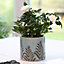 Sky Blue Fern Ceramic Summer Indoor Outdoor Garden Planter Pot Gift for Father's Day