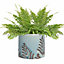 Sky Blue Fern Ceramic Summer Indoor Outdoor Garden Planter Pot