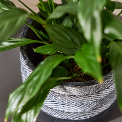 Slate Grey Cement Round Planter Indoor Flower Pot Houseplant Outdoor Garden Plant Pot (H) 14cm, (Dia)17cm