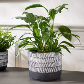 Slate Grey Cement Round Planter Indoor Flower Pot Houseplant Outdoor Garden Plant Pot