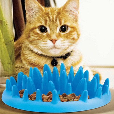 Cat Feeder Homemade Slow Feeder Bowl Fountain Dog Bowl For Slow