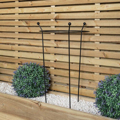 Small 60cm x 35cm Heavy Duty Black Steel Herbaceous Garden Plant ...