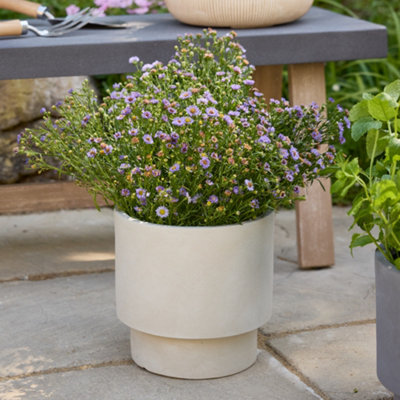 Small Beige Fibre Clay Indoor Outdoor Flower Plant Pot Houseplant Garden Planter (Dia) 24cm, (H)27cm
