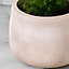 Small Beige Symmetry Stripe Beige Fibre Clay Indoor Outdoor Garden Planter Houseplant Flower Plant Pot